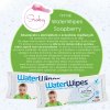 WaterWipes Čisté vodné obrúsky Mydlovník (s extraktom z mydlových orechov) 60 ks