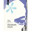 Elizabeth Finch - Julian Barnes
