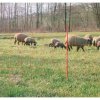 Sieť pre ovce Ovinet 108cm jenou špicou/oranžová KERBL 27253