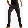 Puma EVOSTRIPE Pants DK S