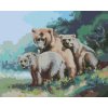 zuty Zuty - Maľovanie Podľa Čísel - Medvedia Rodinka (D. Rusty Rust), 40X50 Cm, Plátno+Rám (8596530163091)