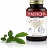 Apothecary Masticha vena 100 kapsúl