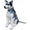Plyšový pes Husky, výška 80cm, dĺžka s chvostom 125cm