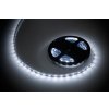 Rebel LED0140-3 lano studená biela 5m 12V