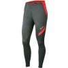 Dámské kalhoty Nike Academy Pro - Academy Pro - 3049676