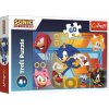 Trefl Sonic The Hedgehog Sonic v akci 60 dielov