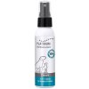 Platinum Oral Clean Care Spray Classic 65 ml