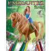 Enchanted Forest. Coloring book