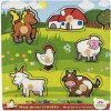Teddies 00512015 Vkládačka Moje první zvířátka 6 ks
