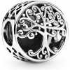 PANDORA korálka Rodinné korene 797590