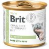 Brit VD Cat GF konz Diabetes 200g