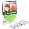 Advantage 80mg koč.+král.spot-on 4x0,8ml