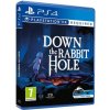 Down the Rabbit Hole VR