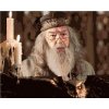 Zuty – Maľovanie podľa čísel – Dumbledore pri sovom rečníckom pulte (Harry Potter), 40 × 50 cm, plátno + rám 8596530240099