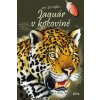 Jaguár v kocovině - Dungel Jan