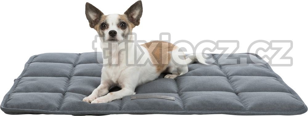 Trixie deka Bendson