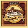 Ernie Ball 2010 Earthwood 12str.Light