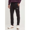 Puma Team Final Casuals Pants 658532-03