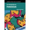 Introduction to Feminism Finlayson Lorna