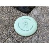 Discgolf - putter Farba: zelená