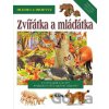 Hledej a objevuj: Zvířátka a mláďátka - SUN