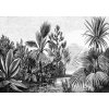 Esta Home 158953 Vliesová čiernobiela fototapeta džungľa palmy Paradise rozmery 350x279cm