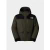 The North Face Mountain Down new taupe green/tnf black