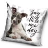 Carbotex Vankúš s Pitbullom motív Say hello New day Pozdrav nový deň 40x40