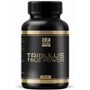Chevron Nutrition Tribulus TRUE POWER, 150 tablet