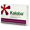 Kaloba 20 mg filmom obalené tablety tbl.flm. 21 x 20 mg