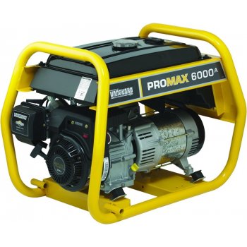 Briggs & Stratton Pro Max 6000 A