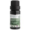 Nobilis Tilia BIO geránium ružové Nobilis Tilia Obsah: 10 ml