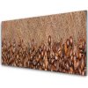Nástenný panel Káva zrnká kuchyňa 100x50 cm