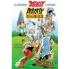 Asterix Na Ngallach (Irish) (Rene Goscinny)(Brožovaná)