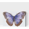 Vymalujsisam.sk Maľovanie podľa čísiel - Motýlie krídla Veľkosť: 40x60cm, Rám: Na plastovej doske