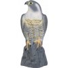 Bradas Plašič vtákov 17/17 5/41cm Sokol CTRL-BR103