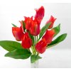 TULIPÁNY kytica 40 cm Typ: A