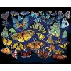 zuty Zuty - Maľovanie Podľa Čísel - Farebné Motýle (D. Rusty Rust), 40X50 Cm, Plátno+Rám (8596530159612)