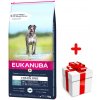 EUKANUBA Adult Large Grain Free 12kg + PREKVAPENIE PRE VÁŠHO PSA
