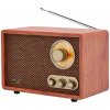 ADL Rádio Adler AD 1171