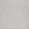 RAKO BLOCK dlažba 30 x 30 cm 29,8 x 29,8 x 0,8 cm svetlo šedá DAA34780