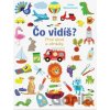 Čo vidíš? Prvé slová a obrázky - Anita Bijsterbosch