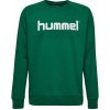Hummel Go Kids Cotton Logo Hoodie 203512-6