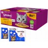WHISKAS kuracie mäso morčacie kačacie hydina v želé 80 x 85 g