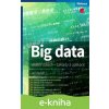 E-kniha Big data - Jan Hendl