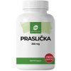 Dr. Fleming Praslička 250mg +10% grátis 110ks