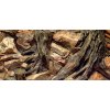 Diversa 3D pozadie Koreň 100 x 40 cm