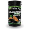 HAQUOSS Haquoss Gammarus krmivo pre korytnačky 1000ml