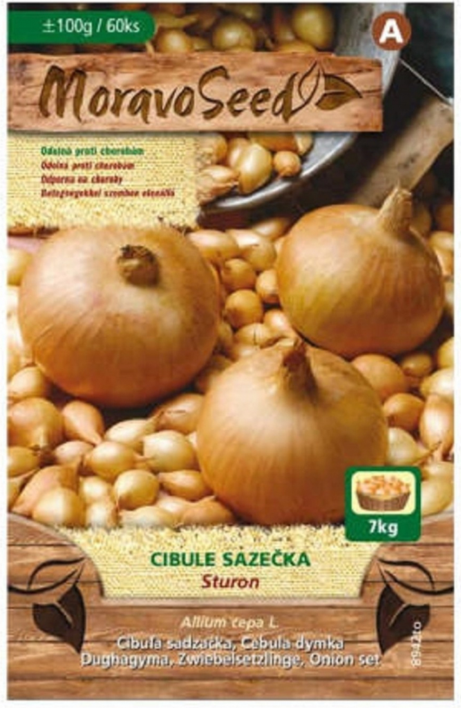 MoravoSeed BIO Cibuľa sadzačka Sturon 300 g