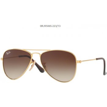 Ray-Ban RJ9506S 223 13